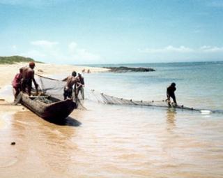 Pesca de arrastão em Manguinhos